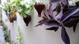 DIY Fantastic Hanging Planters  Easy To Make [upl. by Martinic]