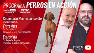 “Perros en acción” Programa Nº 496 [upl. by Enilesor732]