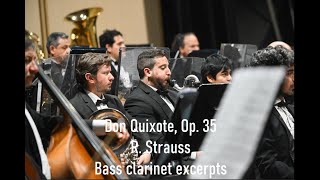 Don Quixote  Bass clarinet excerpts [upl. by Markman542]