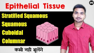 Animal Tissue  Epithelial Tissue Class 9  Types of Epithelial Tissue  What is Epithelial Tissue [upl. by Eniamahs598]