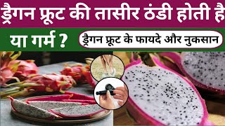 ड्रैगन फ्रूट की तासीर ठंडी या गर्मDragon Fruit Benefits amp Side Effects in hindiकमलमPitahaya Fruit [upl. by Vizzone811]