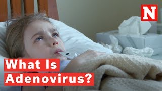 What Is Adenovirus [upl. by Enylcaj]