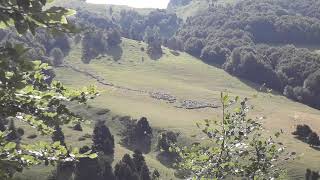 CAMPING LHIRONDELLE  Randonnée sur Vallon de Combeau  Drome France [upl. by Cavuoto]