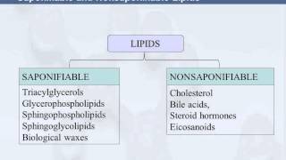 3B 815 Saponifiable amp Nonsaponifiable Lipids [upl. by Gan350]