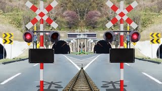 rail road rail crossing railway lineviralvideo 踏切アニメ踏切fumkari 🚂🚆 [upl. by Auhel]