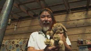 Hero rescues pets from Fukushima nuclear wasteland [upl. by Ratib505]