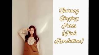 APINK  Chorong 초롱 Singing Parts ► Pink Revolution [upl. by Aubreir]