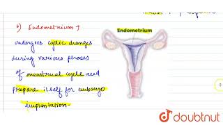 Name the functions of the following a Corpus luteum b Endometrium c Acrosome [upl. by Humfrid]