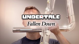 UNDERTALE  Fallen Down  Contrabass Flute [upl. by Otreblaug]