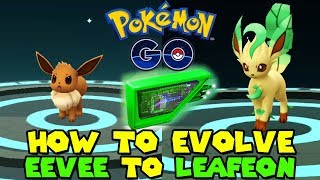 Pokemon Lets Go Pikachu amp Eevee  All Gift Pokemon Locations [upl. by Ardnahc]