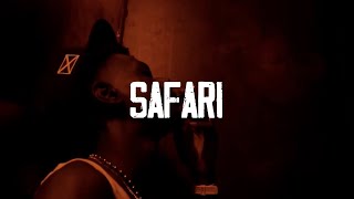 Squash x Skeng x Najeeriii Type Beat  Safari  Afro Dancehall  Trinibad Riddim 2024 DARK [upl. by Aineval]