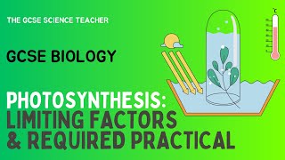 GCSE Biology Photosynthesis Required Practical AQA OCR Edexcel [upl. by Yrdnal]