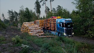 Simple reversing Loading birch pine and spruce pulpwood [upl. by Skvorak291]