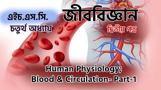 Blood amp Circulation Part1  Human Physiology  Chapter 4  Biology 2nd Paper  HSC [upl. by Eilagam]