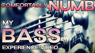 Comfortably NUMB live in Pompeii 2016  My Bass Experience Video [upl. by Anaugal]