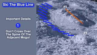 How To Ski Moguls  Blue Line Mogul Skiing Technique Video Intro [upl. by Auqenet]