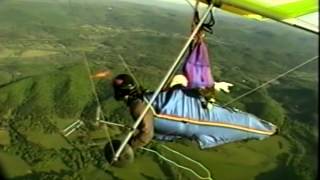 Osceola the onewinged Bald Eagle hang gliding [upl. by Cuttler]