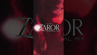 Zaroor Tropical Mix Dj H Kudos  Out Now [upl. by Carrel437]