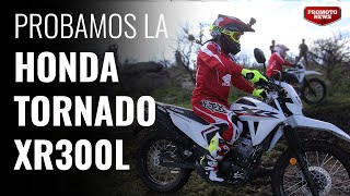 Opinión Honda Tornado XR300L [upl. by Emixam]