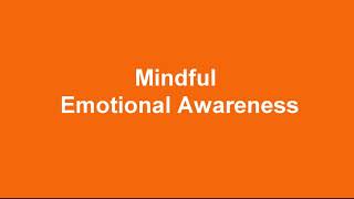 mindful emotion awareness [upl. by Umberto168]