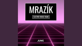 Mrazík Electro House Remix [upl. by Meri]