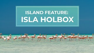 Isla Holbox A natural island paradise just outside Cancun  Cancuncom [upl. by Aekan]