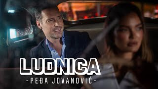 PEDJA JOVANOVIC  LUDNICA OFFICIAL VIDEO 2024 [upl. by Yznel417]