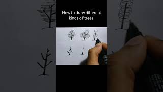 how to draw different types of trees  easy trees drawing art drawing trending shorts [upl. by Hsenid]