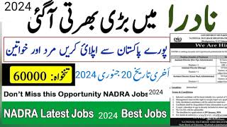 New government job Latest NADRA Jobs in Pakistan 2024 I Govt Jobs in Pakistan Today all Job Dani [upl. by Searby]