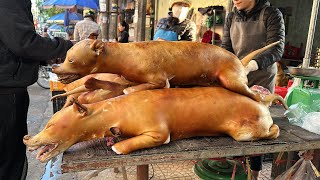 Discover the best dog meat market in Vietnam the girl filters dog meat very professionally [upl. by Coonan819]