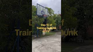 Day 15 of training to dunk at 5’6 Upper body workout dunk dunkjourney verticaljumptraining [upl. by Lancelle586]