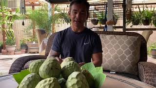 ផ្លែទាបនៅក្រោយផ្ទះបង General Cherimoya at Bong General Backyard [upl. by Eelinej]