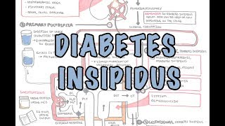 Diabetes Insipidus  Overview causes pathophysiology investigations [upl. by Vedi861]