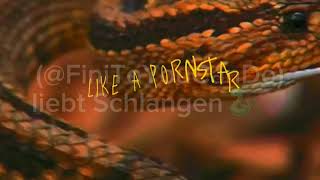 Schlangen Edit von FiniToYouCanDo❤️🐍 [upl. by Adav]