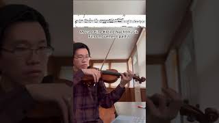 Mozart Eine Kleine Nachtmusik first movement part 1 [upl. by Ofella933]