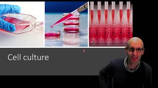 What is cell culture and how does it work [upl. by Nyllij185]