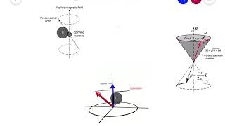 LARMOR PRECESSION  atomic physics [upl. by Goodkin]