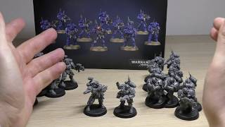 Primaris Incursors  Review WH40K [upl. by Darrelle]