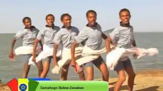 Semahegn BelewZenabun Ethiopian Music 2013 [upl. by Aikemit]