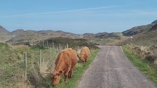 Ardnamurchan Peninsula road trip Ardnamurchan Camp to Sanna Bay [upl. by Amlus]