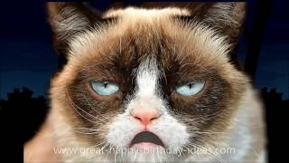 GRUMPY CAT HAPPY BIRTHDAY SONG TOO FUNNY [upl. by Sayre]