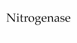 How to Pronounce Nitrogenase [upl. by Nnylarak285]