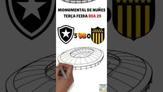 COPA LIBERTADORES SEMI FINAIS PRIMEIRO JOGO copalibertadores [upl. by Ute]