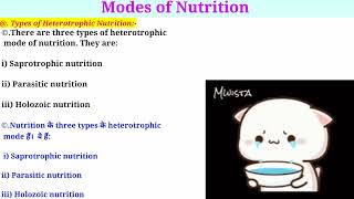 Mode Of Nutrition  Hindi amp English Notes  Msc 1st Semes  Heterotrophic amp Autotrophic Nutrition [upl. by Cut]