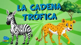 La Cadena Trófica  Videos Educativos para Niños [upl. by Adnauqal]