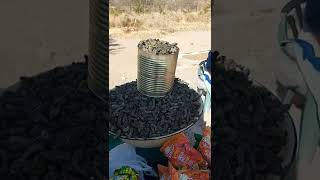 Mopane worms  Lunch Anyone [upl. by Jahdol]