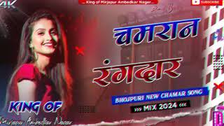 dj Anish Babu dj baas kiny चमरान रंगदार   vibration Anish Babu chautisa brahalganj dj [upl. by Randolf714]