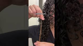 I’TS NOT PERMANENT  curly curlyhairstyles foryou hair hairgrowth fypシ゚viral afro [upl. by Hofmann166]