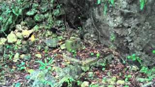 Battle for Okinawa War site Wana Ridge [upl. by Ajnos759]