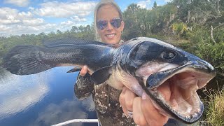 MUDFISH amp Wild Boar Trapping Catch Clean Cook Mudfish Mandalay [upl. by Justinn189]